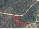 CİHATLI 4.jpg