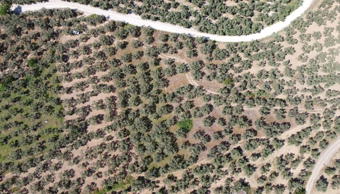 DJI_0140.jpg