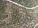 DJI_0141.jpg