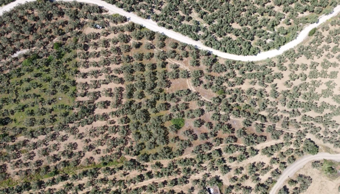 DJI_0141.jpg