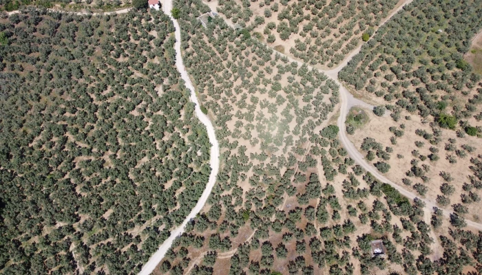 DJI_0142.jpg