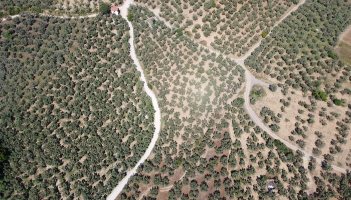 DJI_0143.jpg