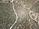DJI_0143.jpg