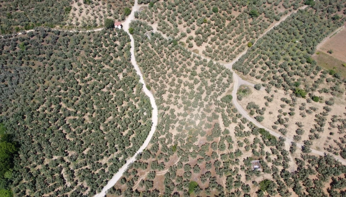 DJI_0144.jpg