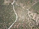 DJI_0144.jpg