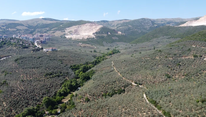 DJI_0145.jpg
