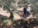DJI_0150.jpg