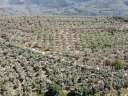 DJI_0152.jpg