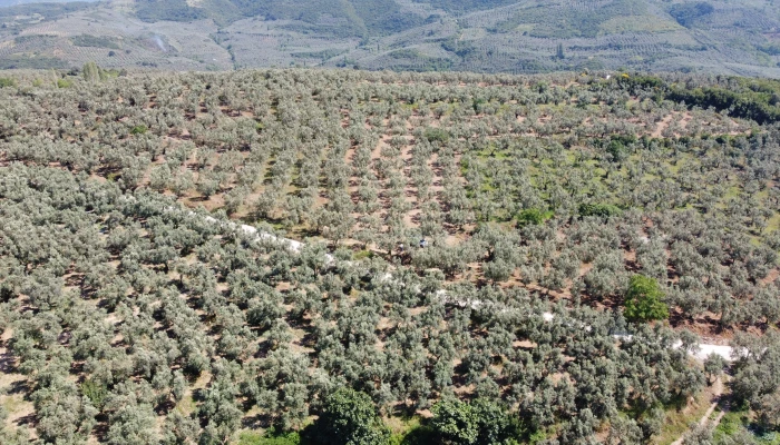 DJI_0152.jpg