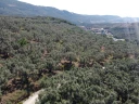 DJI_0154.jpg