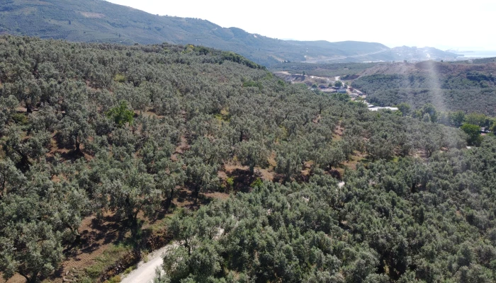 DJI_0154.jpg