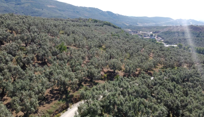DJI_0155.jpg