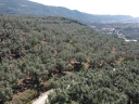 DJI_0155.jpg