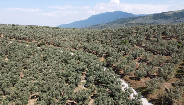 DJI_0160.jpg