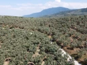 DJI_0160.jpg