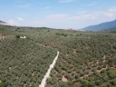 DJI_0163.jpg