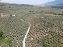 DJI_0164.jpg