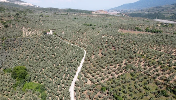 DJI_0164.jpg
