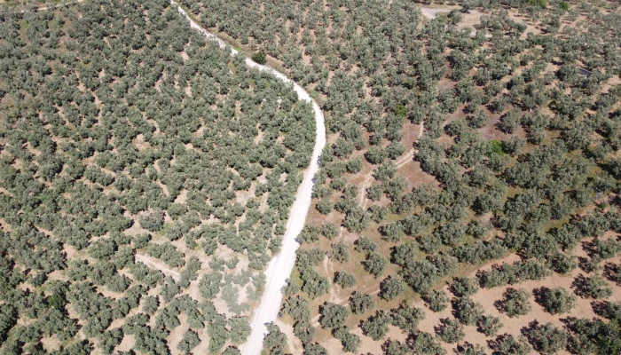 DJI_0165.jpg
