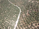 DJI_0165.jpg