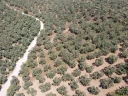 DJI_0166.jpg