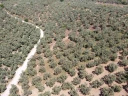 DJI_0167.jpg