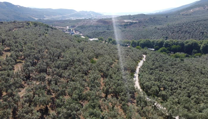 DJI_0168.jpg
