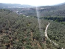 DJI_0168.jpg