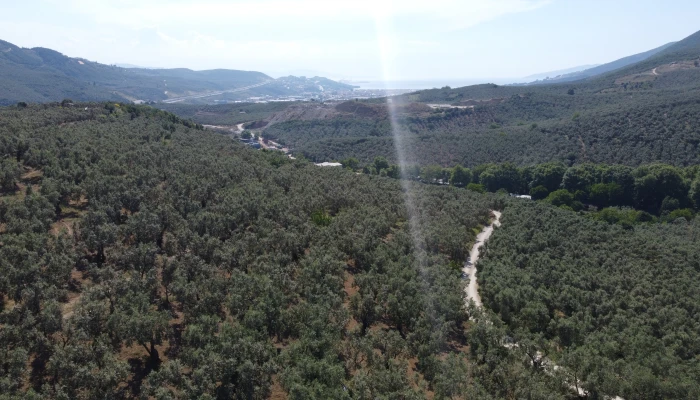 DJI_0169.jpg