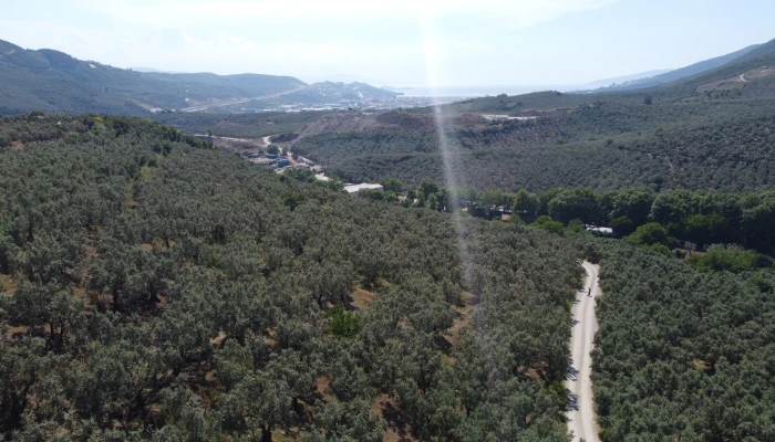 DJI_0170.jpg