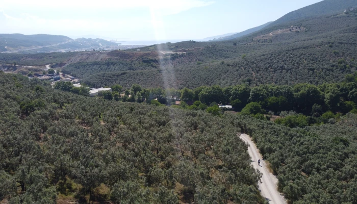 DJI_0171.jpg