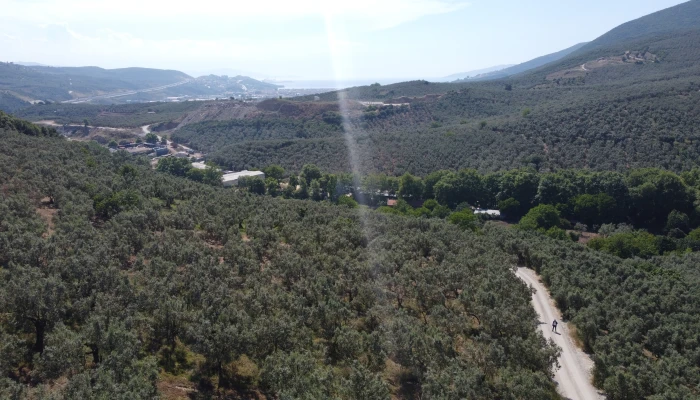 DJI_0172.jpg