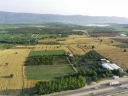 FIMI0054.jpg