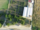 FIMI0057.jpg