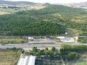 FIMI0063.jpg