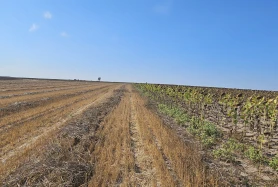 Marmaracık Kadastrol Yola Yakın Avantajlı Satılık 4750m2 Arsa