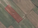Screenshot_20240826_122223_Chrome.jpg