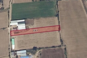 Ödemiş'te 2960 m²lik Tarla