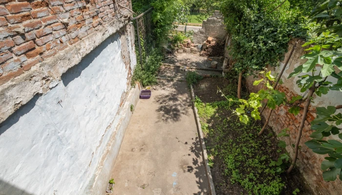 DSCF3991.jpg