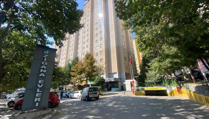 9e206bcd-a21c-4a2d-9005-7c067fafdf40.jpg