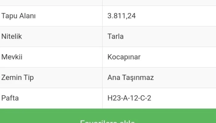 WhatsApp Görsel 2024-10-29 saat 12.17.47_4ff6df45.jpg