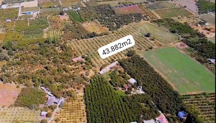 1000566177.jpg