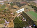 1000566177.jpg