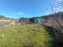 1000566425.jpg