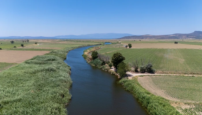 DJI_20240630130104_0085_D.jpg