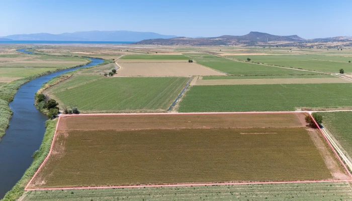 DJI_202402630130309_0093_D.jpg