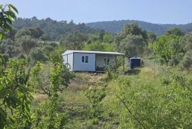 KEMALPAŞA DAMLACIK'TA TEK TAPU 2.5 DÖNÜM SATILIK BAĞ
