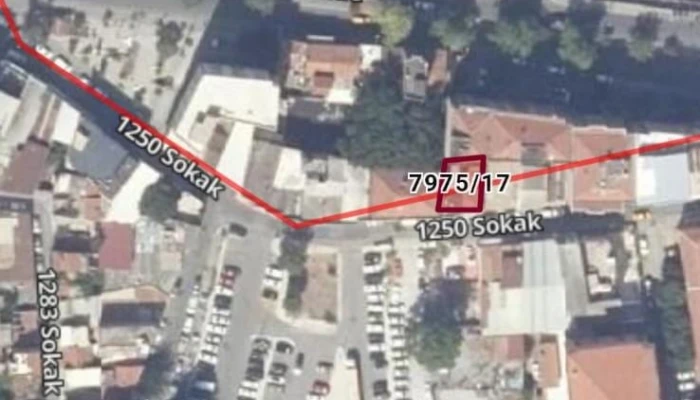 1000576809.jpg