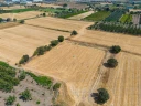 DJI_20240906133847_0062_D.jpg