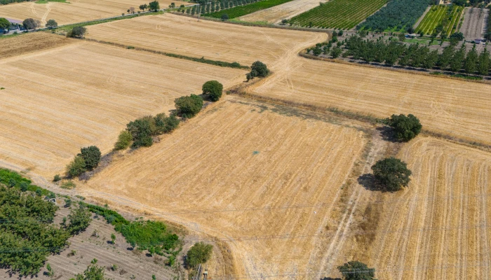 DJI_20240906133847_0062_D.jpg